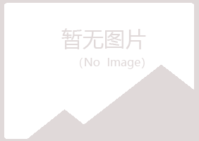 九江庐山雪青采矿有限公司